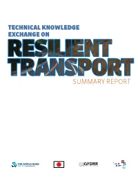 Resilient Transport Summary Report (PDF)