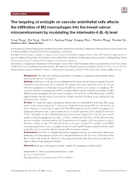 The Targeting of Endoglin on Vascular Endothelial Cells Affects The
