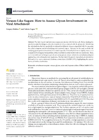 Viruses Like Sugars: How to Assess Glycan Involvement in Viral Attachment