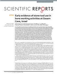 Early Evidence of Stone Tool Use in Bone Working Activities at Qesem Cave, Israel