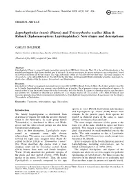 Leptohyphodes Inanis (Pictet) and Tricorythodes Ocellus Allen & Roback (Ephemeroptera: Leptohyphidae): New Stages and Descriptions