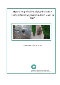 Monitoring of White-Clawed Crayfish Austropotamobius Pallipes in Irish Lakes in 2007