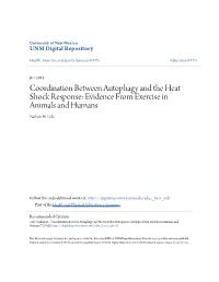 Coordination Between Autophagy and the Heat Shock Response: Evidence from Exercise in Animals and Humans Nathan H