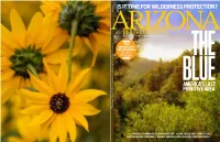 America's Last Primitive Area Is It Time for Wilderness