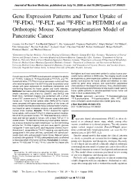 Gene Expression Patterns and Tumor Uptake of 18F-FDG, 18F-FLT, and 18F-FEC in PET/MRI of an Orthotopic Mouse Xenotransplantation Model of Pancreatic Cancer