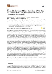 Thermal Behavior and Phase Transition of Uric Acid and Its Dihydrate Form, the Common Biominerals Uricite and Tinnunculite