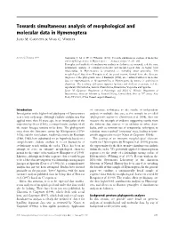 Towards Simultaneous Analysis of Morphological and Molecular Data in Hymenoptera