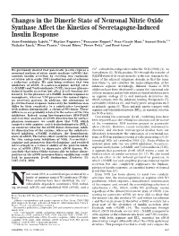 Changes in the Dimeric State of Neuronal Nitric Oxide Synthase