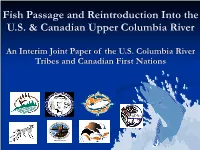 Fish Passage and Reintroduction Into the U.S. & Canadian Upper