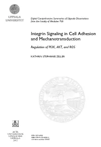 Integrin Signaling in Cell Adhesion and Mechanotransduction: Regulation of PI3K, AKT, And