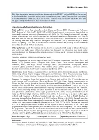 Mini Data Sheet on Argyrotaenia Sphaleropa