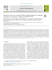 Chaperones of the Class I Peptide-Loading Complex Facilitate the Constitutive Presentation of Endogenous Antigens on HLA-DP84GGPM87 T
