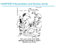 Nucleotides and Nucleic Acids