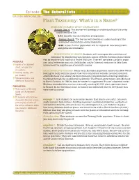 Plant Taxonomy: What's in a Name?