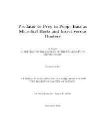 Predator to Prey to Poop: Bats As Microbial Hosts and Insectivorous Hunters
