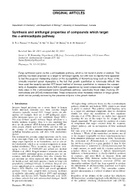 Synthesis and Antifungal Properties of Compounds Which Target the Α-Aminoadipate Pathway ORIGINAL ARTICLES