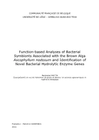 Function-Based Analyses of Bacterial Symbionts Associated with the Brown Alga Ascophyllum Nodosum and Identification of Novel Bacterial Hydrolytic Enzyme Genes