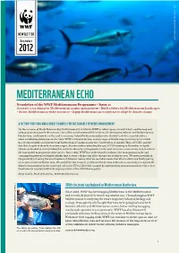 Mediterranean Echo