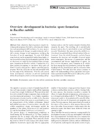 Overview: Development in Bacteria: Spore Formation in Bacillus Subtilis