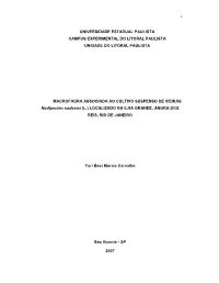 000596567.Pdf
