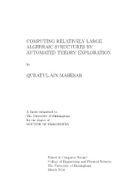 COMPUTING RELATIVELY LARGE ALGEBRAIC STRUCTURES by AUTOMATED THEORY EXPLORATION By