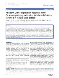 Aberrant Gcm1 Expression Mediates Wnt/Β-Catenin Pathway Activation in Folate Deficiency Involved in Neural Tube Defects