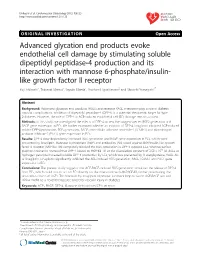 Advanced Glycation End Products Evoke Endothelial Cell Damage By