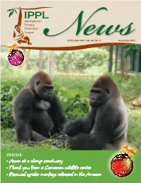 • Arson at a Chimp Sanctuary • Thank You from a Cameroon Wildlife Center • Rescued Spider Monkeys Released in the Amazon IPPL at 40! a Note from Shirley 1973-2013