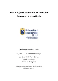 Modeling and Estimation of Some Non Gaussian Random Fields
