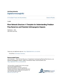 A Template for Understanding Predator-Prey Dynamics and Potential Anthropogenic Impacts" (2009)