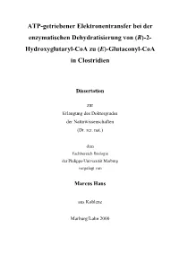 ATP-Getriebener Elektronentransfer Bei Der Enzymatischen Dehydratisierung Von (R)-2- Hydroxyglutaryl-Coa Zu (E)-Glutaconyl-Coa in Clostridien