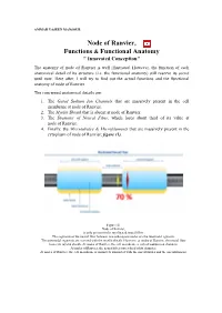 Node of Ranvier, Functions & Functional Anatomy