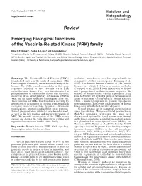 Review Emerging Biological Functions of the Vaccinia-Related Kinase