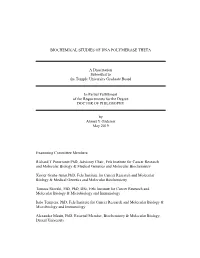 Biochemical Studies of Dna Polymerase Theta A