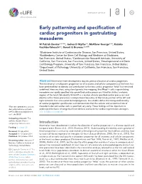 Early Patterning and Specification of Cardiac Progenitors in Gastrulating