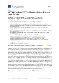 ACTN4 Mediates SEPT14 Mutation-Induced Sperm Head Defects