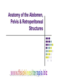 Anatomy of the Abdomen, Pelvis & Retroperitoneal Structures