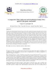 A Comparative Foliar Epidermal and Morphological Study of Five Species of the Genus Amaranthus