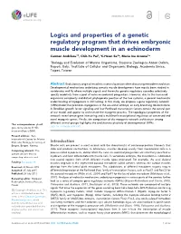 Logics and Properties of a Genetic Regulatory Program That Drives