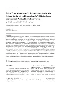 Role of Brain Angiotensin AT1 Receptor in the Carbachol- Induced Natriuresis and Expression of Nnos in the Locus Coeruleus and Proximal Convoluted Tubule