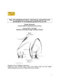 Subcloning, Expression and Purification of Recombinant Protein