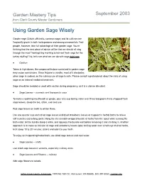 Using Garden Sage Wisely