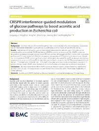 CRISPR Interference-Guided Modulation of Glucose Pathways To