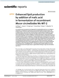 Enhanced Lipid Production by Addition of Malic Acid in Fermentation Of
