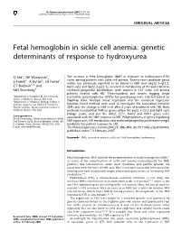 Fetal Hemoglobin in Sickle Cell Anemia: Genetic Determinants of Response to Hydroxyurea