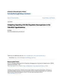 (Hh/Gli) Regulates Neurogenesis in the Zebrafish Hypothalamus