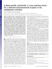A Plant-Specific Calreticulin Is a Key Retention Factor for a Defective Brassinosteroid Receptor in the Endoplasmic Reticulum