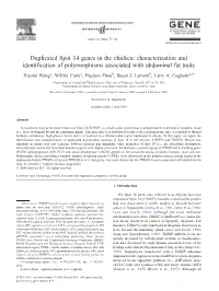 Duplicated Spot 14 Genes in the Chicken: Characterization and Identification of Polymorphisms Associated with Abdominal Fat Traits