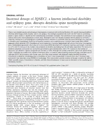Incorrect Dosage of IQSEC2, a Known Intellectual Disability and Epilepsy Gene, Disrupts Dendritic Spine Morphogenesis