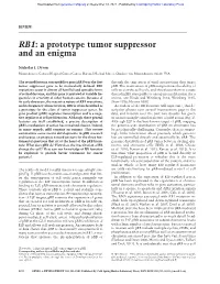 RB1: a Prototype Tumor Suppressor and an Enigma